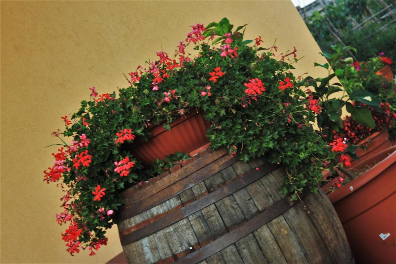 mansarda fiorita Bed and Breakfast Abatemarco Exteriör bild